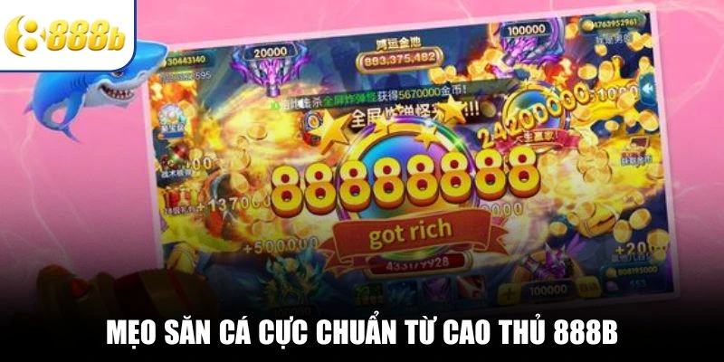 Mẹo săn cá cực chuẩn từ cao thủ 888B